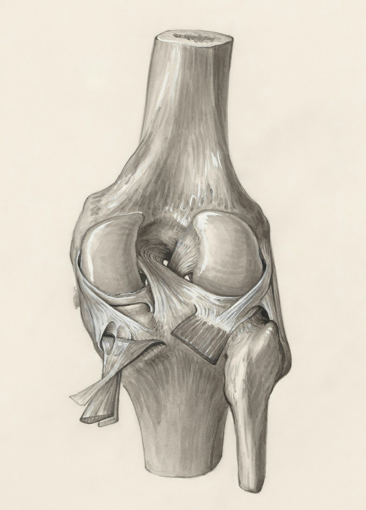 Simple Stretching Routines For Lower Back Relief